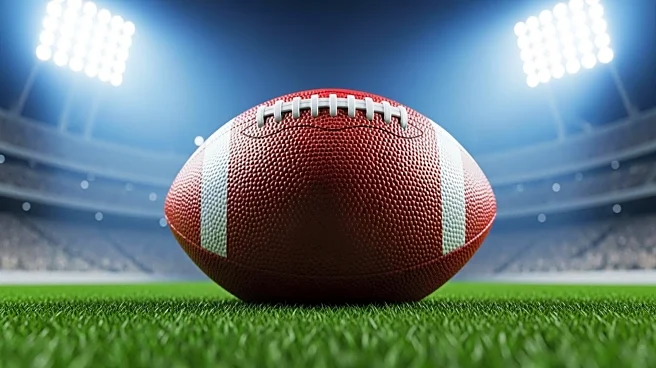 Josh Allen's Performance Propels Buffalo Bills to Victory in NFL Week 11