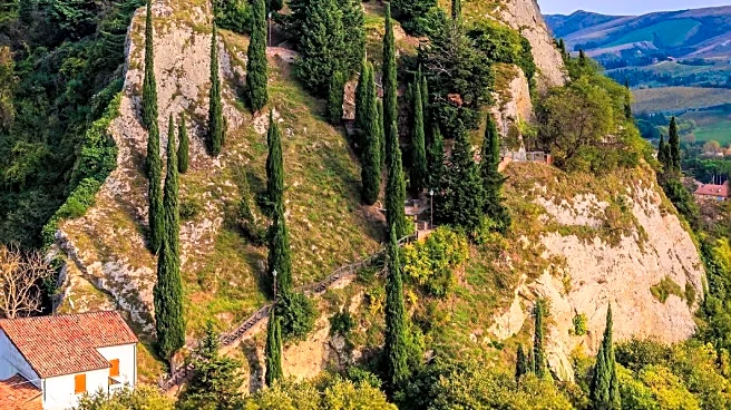 European Observations Highlight Distinctive American Traits Abroad