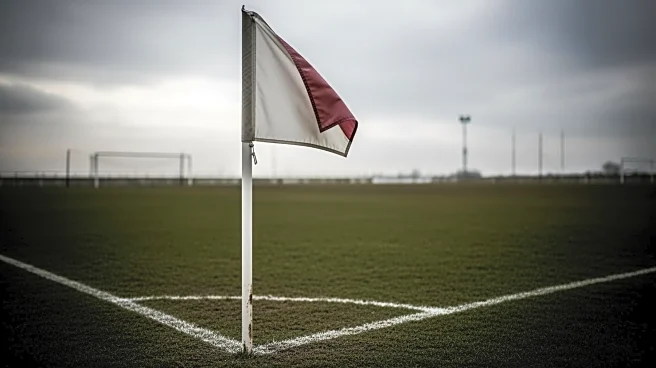 Rob Edwards Appointed as Wolves Head Coach Amid Relegation Concerns