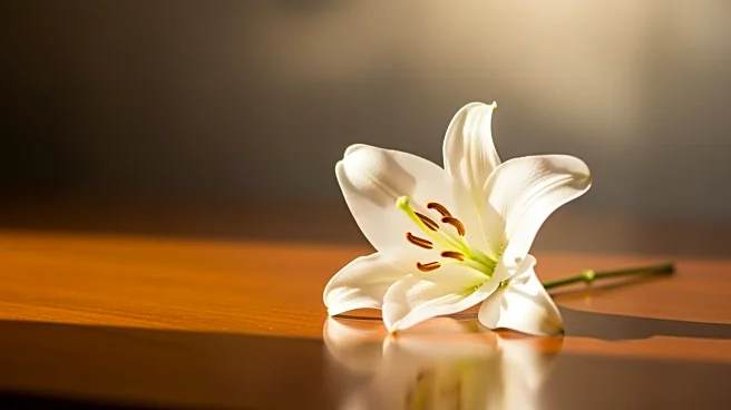 Mother of Fallen Hostage Ran Gvili Expresses Concerns Over Son's Legacy