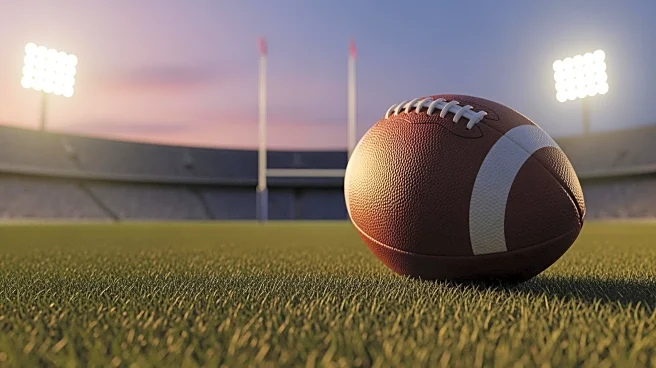 Chicago Bears Secure Narrow Victory Over Minnesota Vikings in NFL Week 11