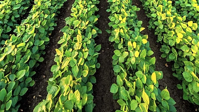 Sheri Glazier Organizes Event to Bridge Agriculture and Dietetics in Tulsa