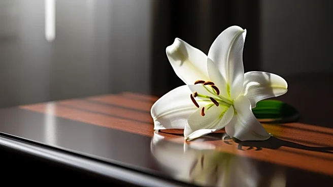 Elizabeth Franz, Tony-winning Actor, Passes Away at 84 After Battle with Cancer