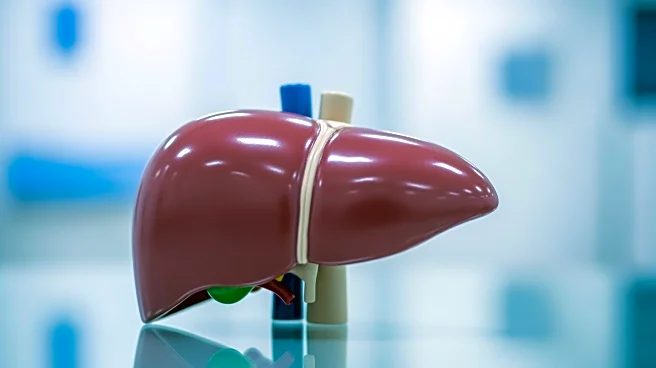 Bernie Kosar to Receive Liver Transplant Amid Health Struggles