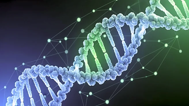 Gladstone Institutes Researchers Map FOXP3 Gene Regulation, Offering Insights for Autoimmune and Cancer Therapies