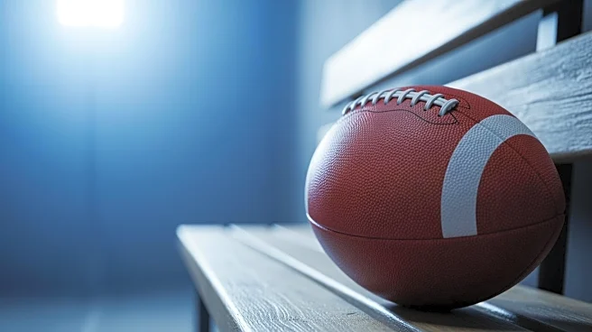 Cleveland Browns Struggle with Offensive Performance Against Ravens