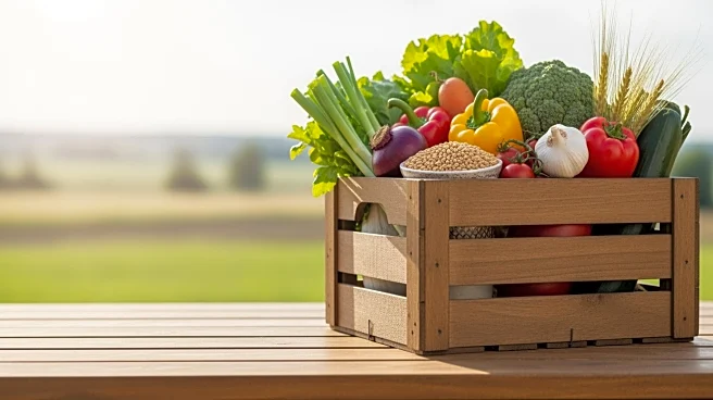 Strategies for Attracting Ideal Hires in Agriculture