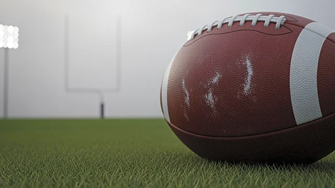 Browns' Dylan Sampson: Limited Performance in Loss to Ravens