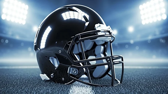 Steelers' Defense Shines in Week 11 Victory Over Bengals