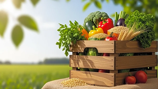 President Trump Removes Tariffs on Select Agricultural Imports to Address Rising Costs