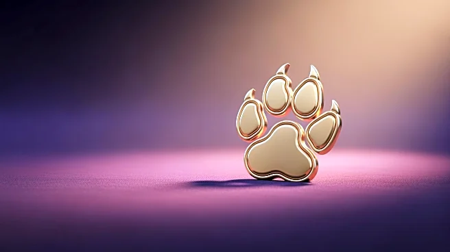 LSU Tigers Extend Winning Streak with Victory Over Tulane