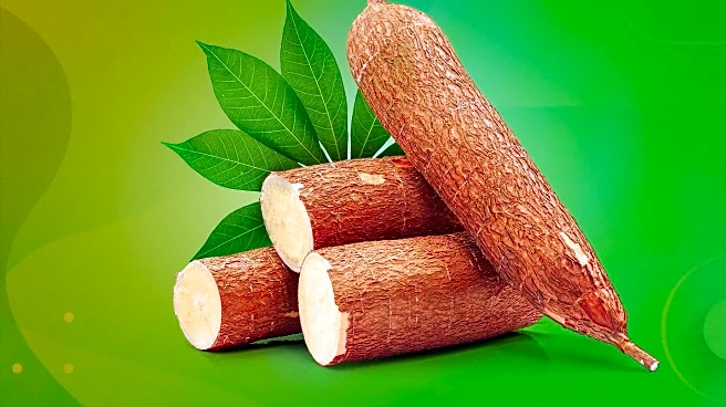 LEO Pharma Announces Positive Results in ADHAND Trial for Atopic Dermatitis Treatment