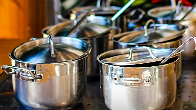 Study Highlights Microplastics in Cookware and Containers, Raising Health Concerns