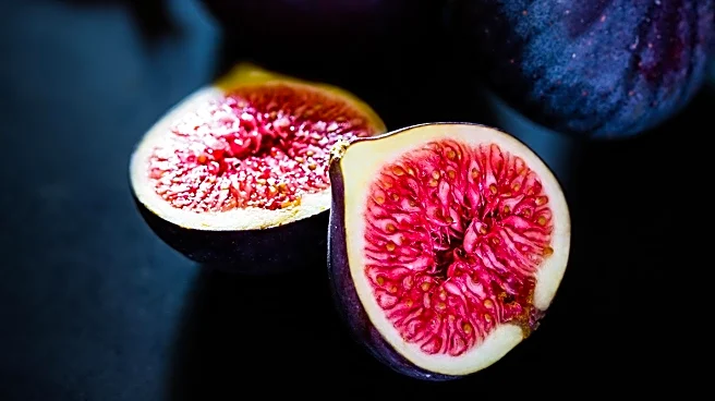 Peggy Figliulo's Legacy Celebrated in Obituary