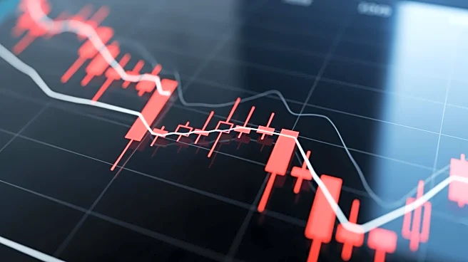 Palantir Stock Declines Amid Broader Market Downturn