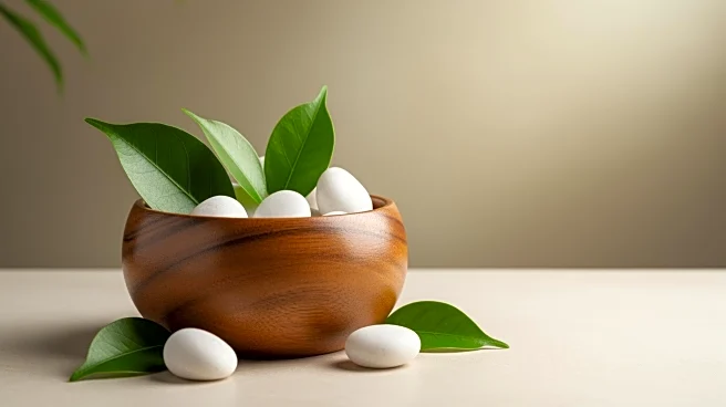 Natural Spa Factory Launches Support Program for Emerging Beauty Brands