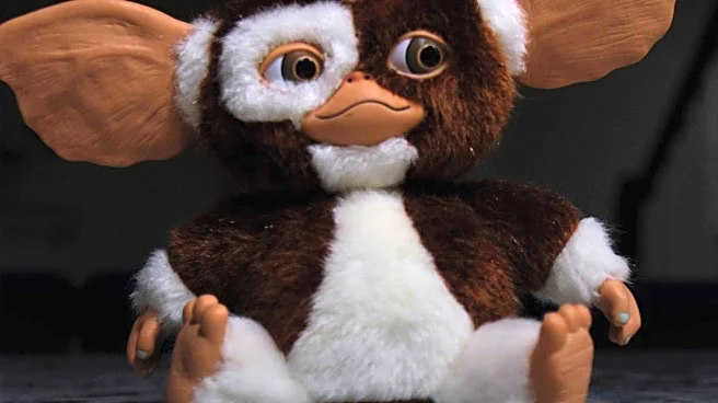 Viral Plea for Adoption of 'Gremlin' Dog Highlights Shelter Challenges