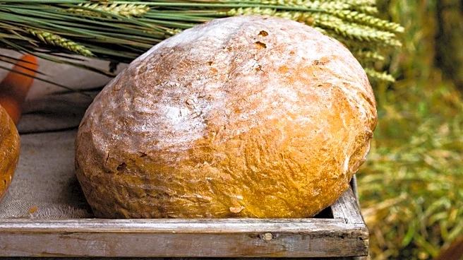 Regenerative Farming Techniques Enhance Bread and Booze Quality