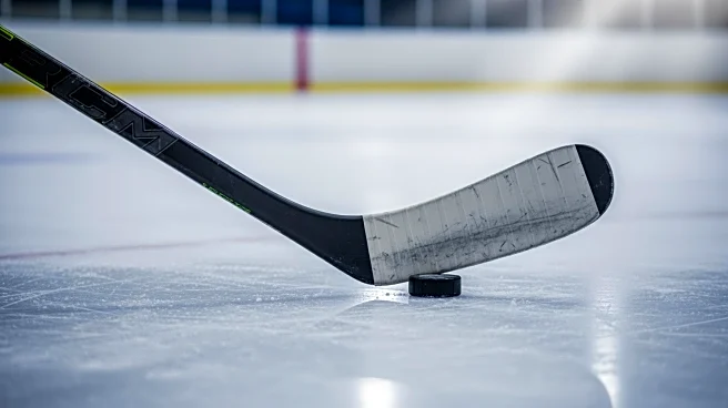 Bruins' John Beecher Placed on Waivers Following Injury