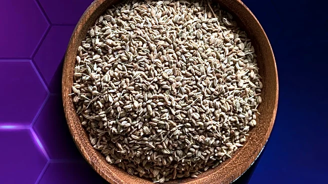 Olanzapine's Mechanisms Explored for Agitation in Psychiatric Disorders