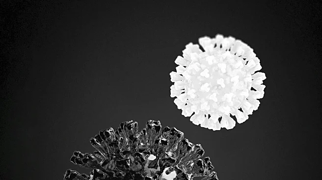 Ancient Virus Study Offers Insights for Combating Superbugs