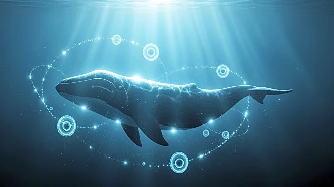 Scientists Explore Bowhead Whales for Cancer Therapy Insights