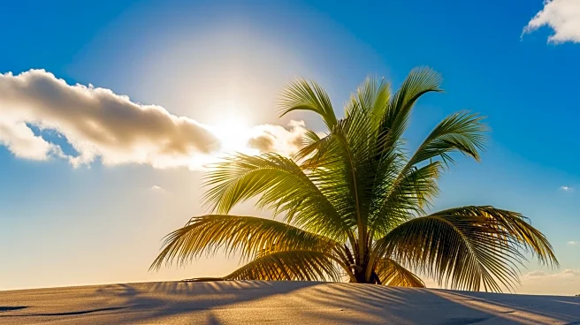 South Florida Weather Forecast: Mid-80s Temperatures and Mostly Sunny Skies