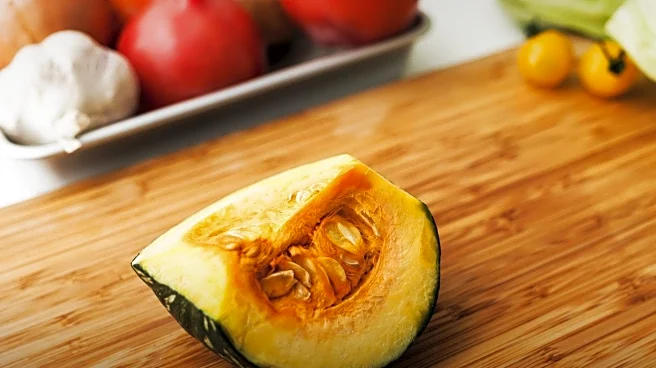 FoodSaver Vacuum Sealer Offers Efficient Food Preservation Ahead of Thanksgiving