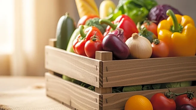 President Trump Implements Tariff Rollback to Address Grocery Inflation Concerns