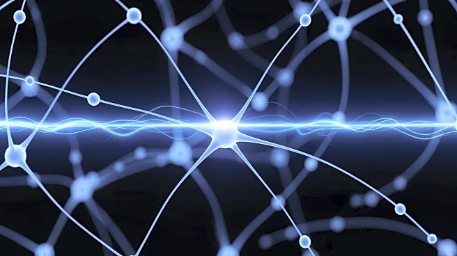 Stress-Sensitive Neurons Impact Brain Health and Sleep