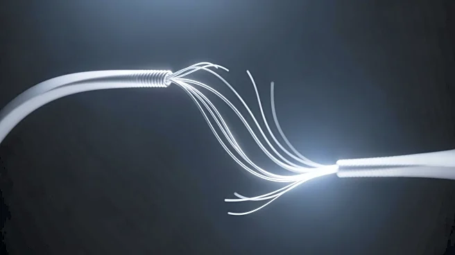 Broken String Biosciences Appoints New Leadership for INDUCE-seq Platform Commercialization