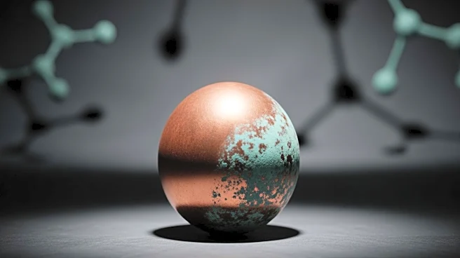 Copper Homeostasis Identified as Key Factor in Klebsiella pneumoniae Virulence