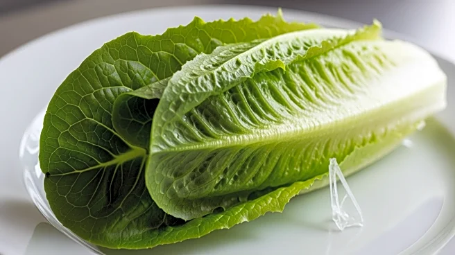 Costco Recalls Caesar Salads Due to Potential Plastic Contamination