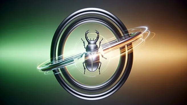 Nature Study Explores Motion Compensated MRI Techniques for Active Sun Beetles