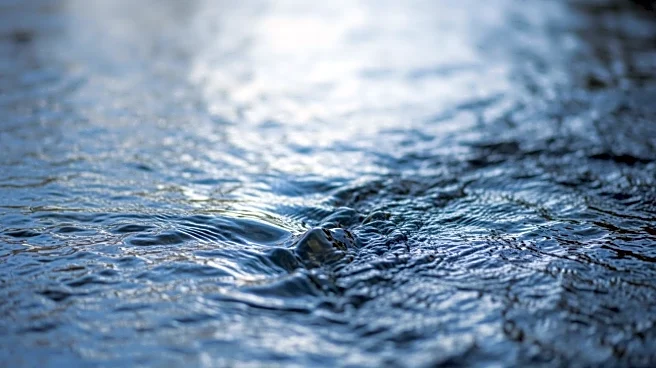 Kristen Stewart Releases Trailer for Directorial Debut 'The Chronology of Water'