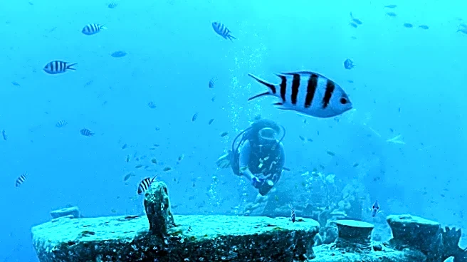 Historic SS United States to Become Artificial Reef Off Florida