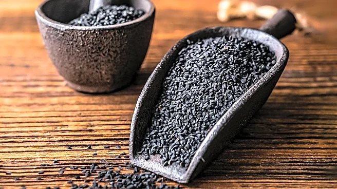 Study Highlights Health Benefits of Black Cumin in Cholesterol and Obesity Prevention
