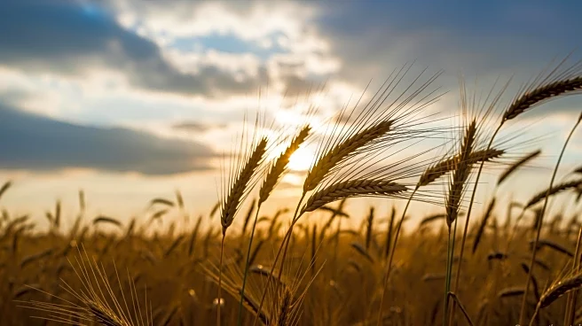 Weather Experts Predict 2026 Agricultural Impacts Amid Global Trends