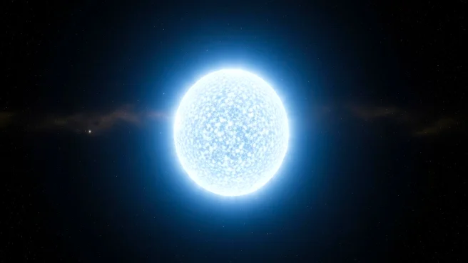 White Dwarfs: The Future of Dead Stars in the Universe