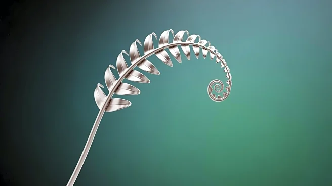 Air New Zealand Unveils Major Loyalty Program Overhaul with Koru