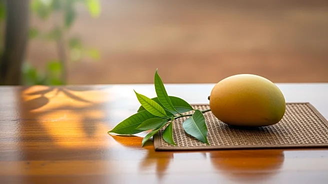 Rodwell Ferguson Appointed Minister of Agriculture in Belize Cabinet Reshuffle