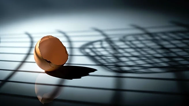 Mercy for Animals' 'Cracked' Film Challenges Cage-Free Egg Myth with Haunting Imagery