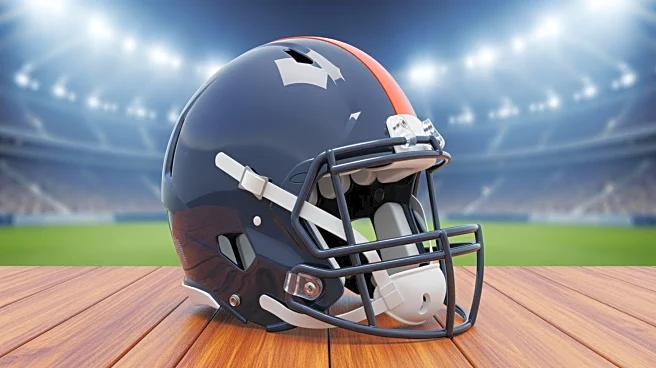 Chicago Bears' NFC North Contender Status Examined