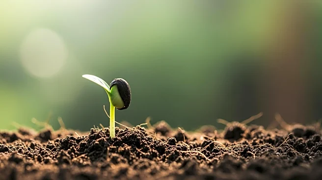 Siolta Therapeutics Announces Positive Phase 2 Results in Atopic Disease Prevention Study