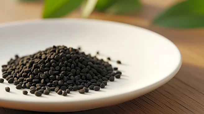 Osaka Metropolitan University Study Highlights Black Cumin's Potential in Reducing Cholesterol and Obesity