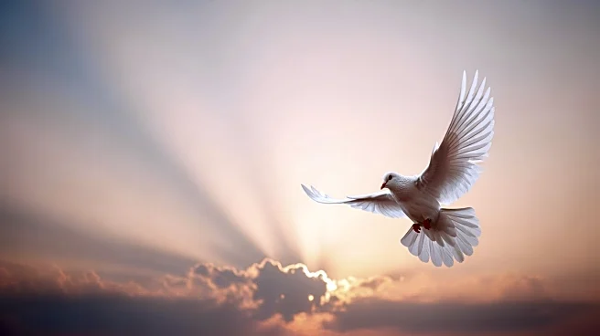 Mary Jo Howard Passes Away at 68, Leaving Legacy of Compassion and Inclusivity