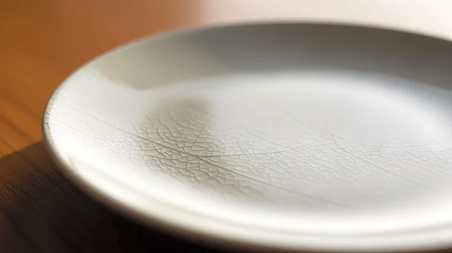 Japanese Insurers Prepare for Potential Heavy Payouts Due to Earthquake Risks