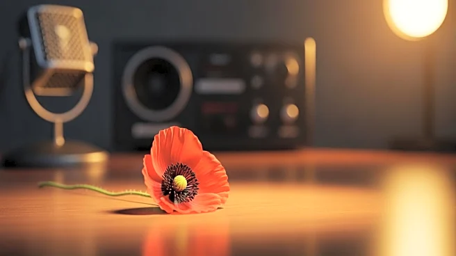 BBC Apologizes to Princess of Wales for Title Error During Armistice Day Coverage