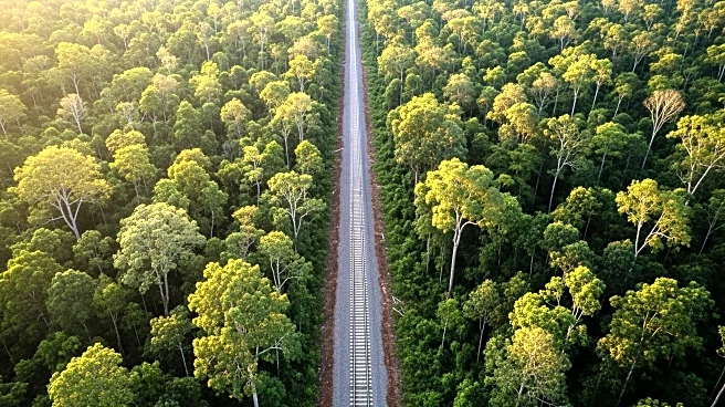Brazil's Railway Project Sparks Controversy Amid Deforestation Concerns