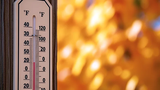 Charlotte Experiences Record-Breaking November Heat, Temperatures Near 80 Degrees